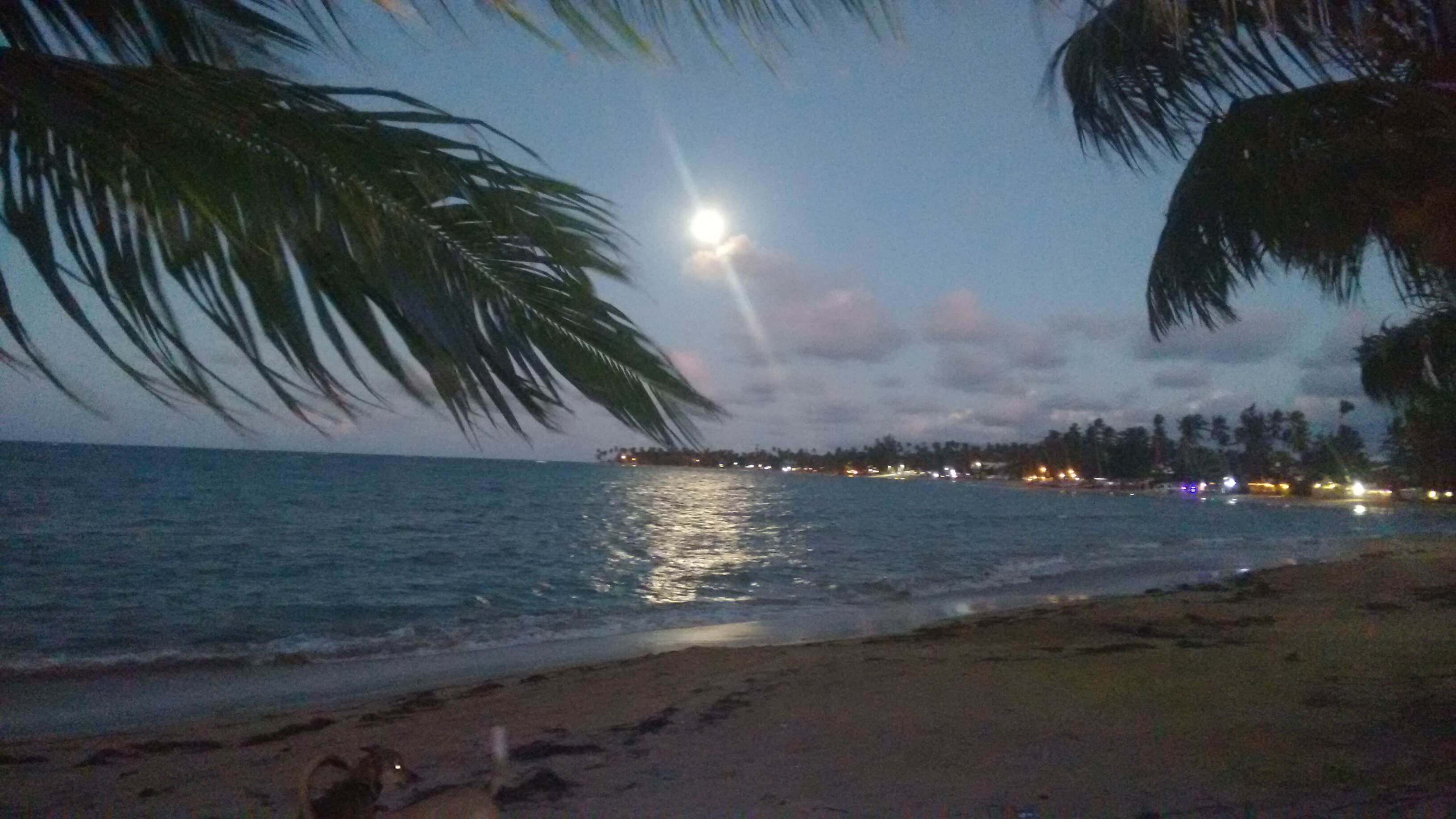 Las Terrenas-Moon Rising